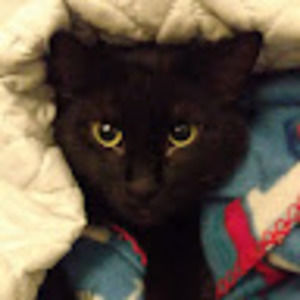 Meet your Posher, Amehra